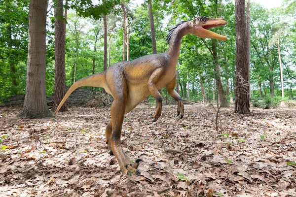 Oertijdmuseum Boxtel 2022 Dinozaur Troodonowy Zielonym Środowisku Naturalnym Wysokiej Jakości Obrazek Stockowy