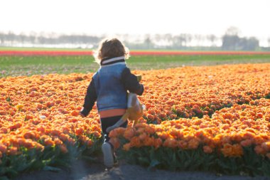 Happy child is running in orange tulip field. High quality photo