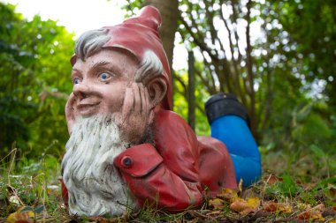 Funny garden gnome in a green garden. High quality photo
