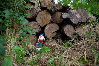 Funny garden gnome in a green garden. High quality photo