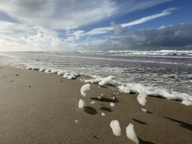 Texel Hollanda sahilinde beyaz foma. Yüksek kalite fotoğraf
