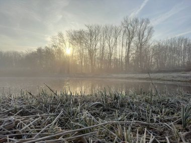 Hollanda kış manzarası Twiske doğa alanı Hollanda. Yüksek kaliteli resim.