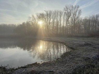 Hollanda kış manzarası Twiske doğa alanı Hollanda. Yüksek kaliteli resim.