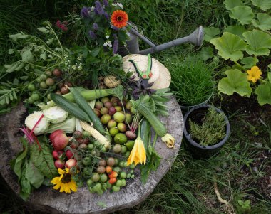 Kuş banyosu, yapraklı yeşillikler ve canlı çiçeklerle dolu küçük bir bahçeye dönüşen sebze ve çiçeklerin renkli bir görüntüsü haline geldi.