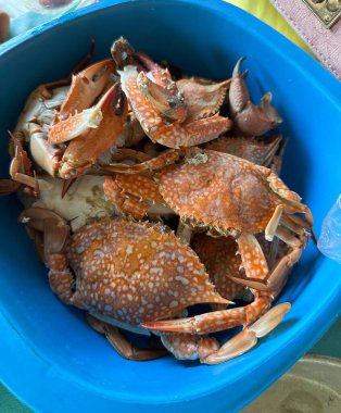 Masanın üzerinde canlı bir mavi kase vardır. Canlı yengeçlerle doludur. Cazip bir deniz mahsulü görüntüsü yaratır.