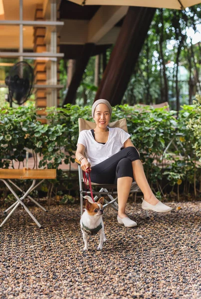 Mujer Sentada Con Perro Chihuahua Con Correa Café Aire Libre — Foto de Stock