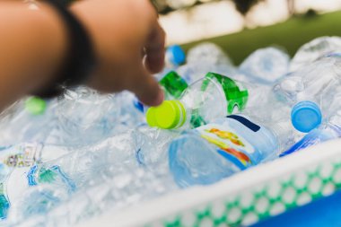 Çöpü geri dönüştürmek için plastik şişeleri elle yerleştirdim.