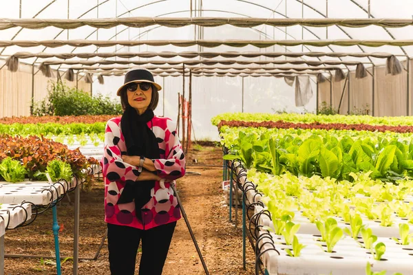 Portrait Asian senior woman standing in hydroponics vegetable farm
