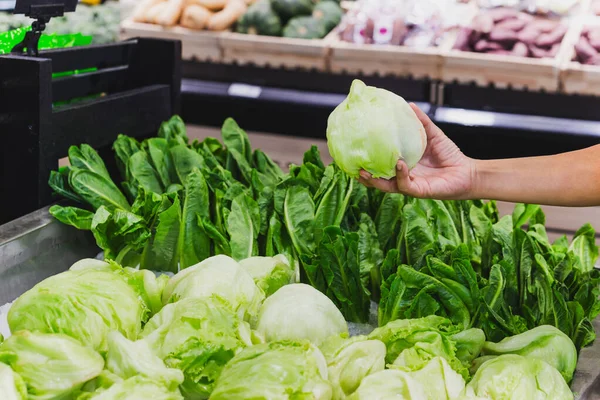 Housewife choosing green iceberg lettuces in grocery store