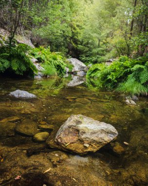 Agualva (Portekiz) deresinin ortasındaki kaya)