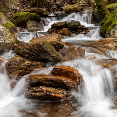 Sever do Vouga 'daki tatlı su akıntısı (Portekiz)