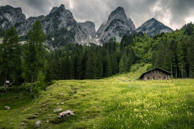 Huzurlu bir dağ manzarası bir kulübe, kır çiçekleri ve dağlarla