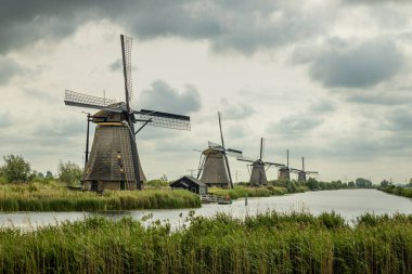 Werelderfgo Kinderdijk (Hollanda) kanalı, doğa ve yel değirmenleri