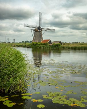 Werelderfgo Kinderdijk (Hollanda) kanalı, doğa ve yel değirmenleri
