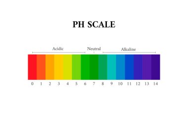 Ph ölçek grafik göstergesi diyagram değeri, alkali, nötr, tabana asidik