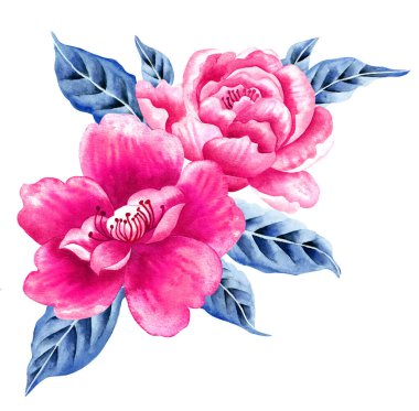 Watercolor Bouquet of flowers, isolated, white background, pink roses and blue leaves