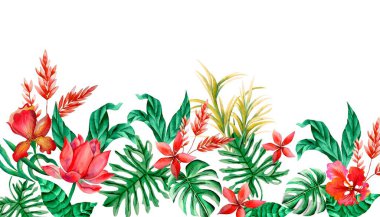 Watercolor flowers, red tropical elements, green leaves, white background