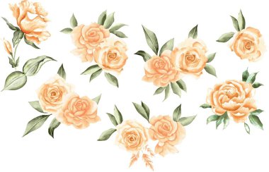 Watercolor Bouquet of flowers, isolated, white background, yellow roses and green leaves