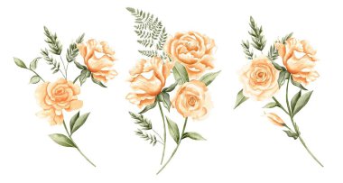 Watercolor Bouquet of flowers, isolated, white background, yellow roses and green leaves