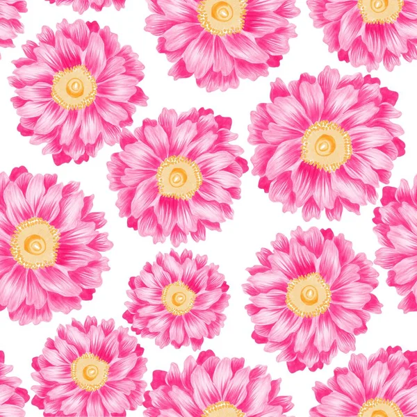 水彩花图案 粉色热带元素 白色背景 — 图库照片