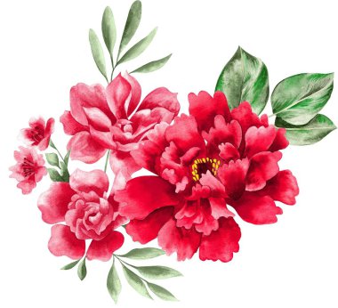Watercolor Bouquet of flowers, isolated, white background, red roses and green leaves