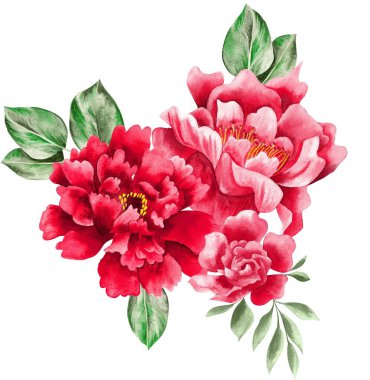 Watercolor Bouquet of flowers, isolated, white background, red roses and green leaves
