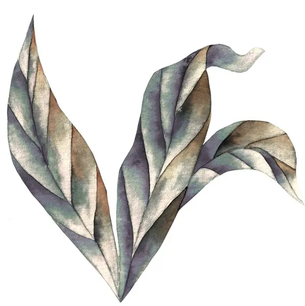 Aquarell Blätter Isoliert Pastellfarbene Tropische Elemente Weißer Hintergrund — Stockfoto