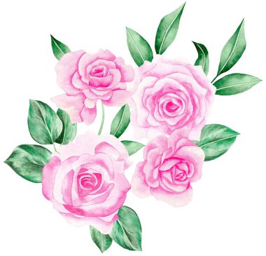 Watercolor Bouquet of flowers, isolated, white background, pink roses and green leaves