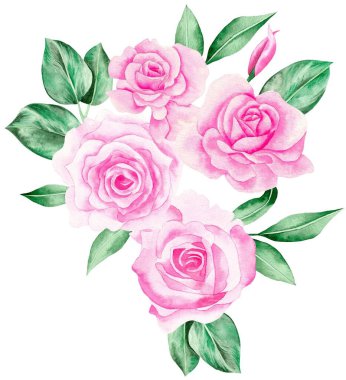 Watercolor Bouquet of flowers, isolated, white background, pink roses and green leaves