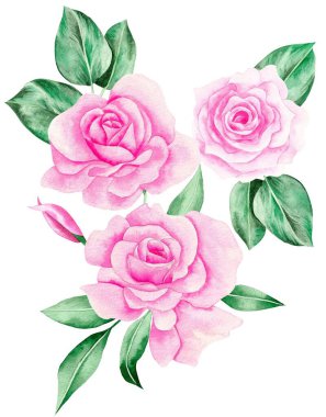 Watercolor Bouquet of flowers, isolated, white background, pink roses and green leaves