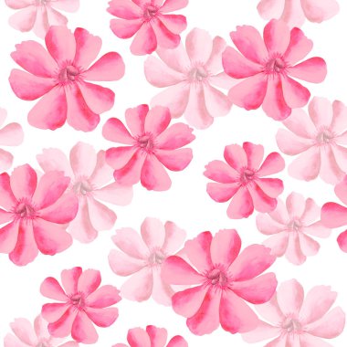 Suluboya çiçek deseni, pembe tropikal çiçekler, beyaz arka plan, pürüzsüz