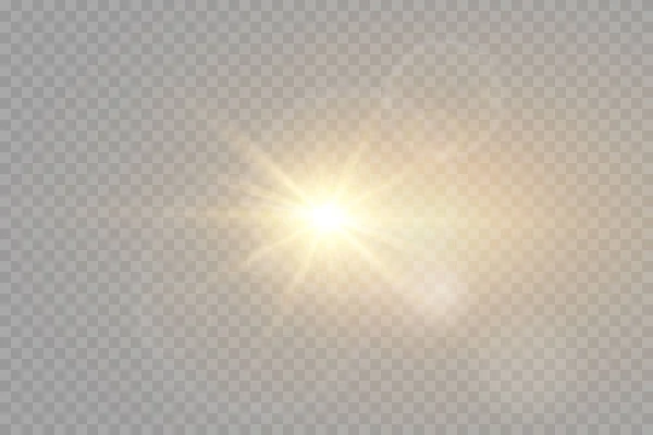 矢量透明太阳光特殊透镜闪光效果 阳光闪烁着光芒和聚光灯 — 图库矢量图片