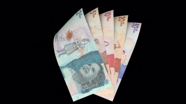 Balíček Kolumbijských Peso Bankovek Alpha — Stock video
