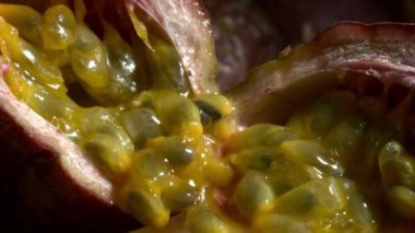 Curuba Açılış Kapanış Yavaş Çekim