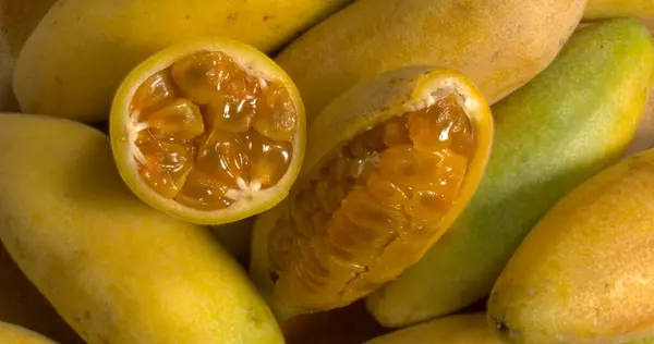 Curubas grubu masanın üstünde.