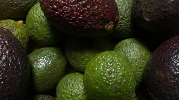 Hass avokado grubuna yakın çekim