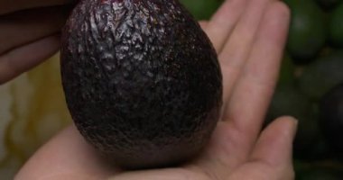 Avokado ellerde gösteriliyor. 60 fp, yakın plan.