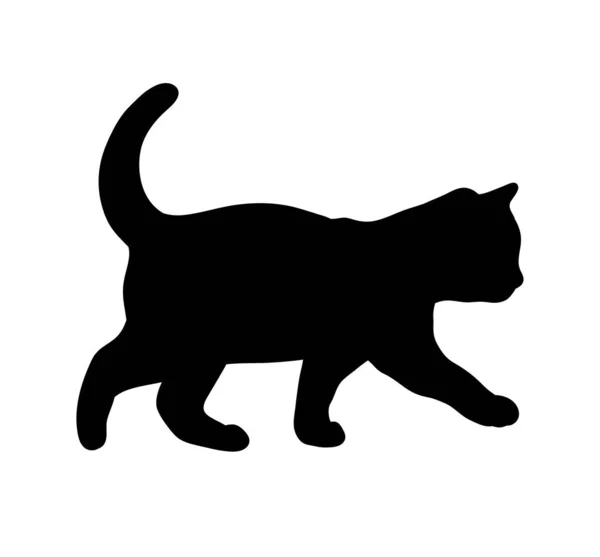 Wandelen Zwarte Kat Abstracte Silhouet Ikoon Logo Vector Illustratie — Stockvector