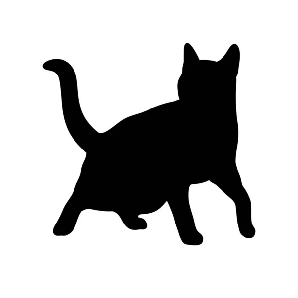 Czarny Kot Abstrakcyjna Sylwetka Ikona Ilustracja Wektora Logo — Wektor stockowy