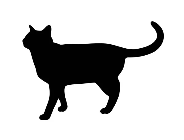Gato Negro Pie Silueta Abstracta Icono Ilustración Del Vector Del — Vector de stock