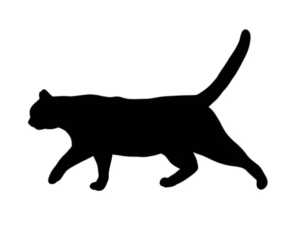 고양이 산책은 실루엣을 전제로 아이콘 일러스트 — 스톡 벡터