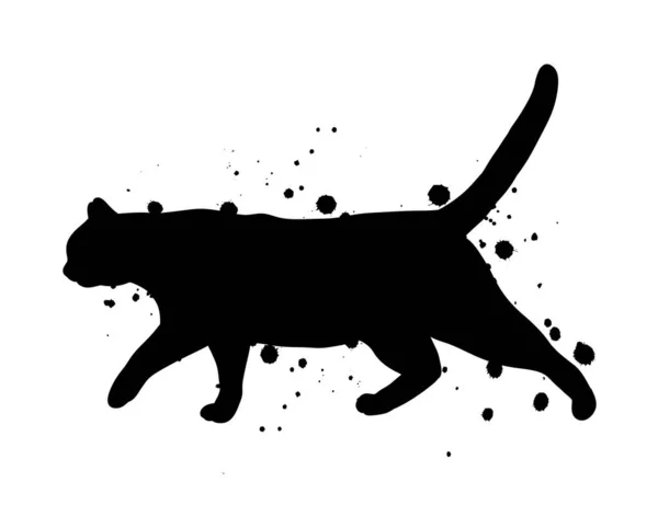 Silueta Gato Negro Con Salpicadura Tinta Ilustración Abstracta — Vector de stock