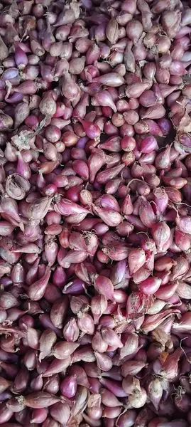 Üst görünümde görülen arpacık soğanları koleksiyonu