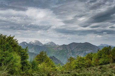Spring in the mountain of Leon, Spain