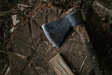 Yaşlı yıpranmış kır baltası tahtada