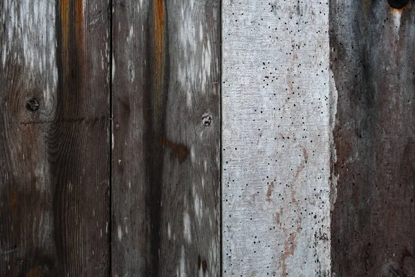 Detail Old Hut Wooden Wall Worn Out Paint Woodworm Holes — Stock Photo, Image