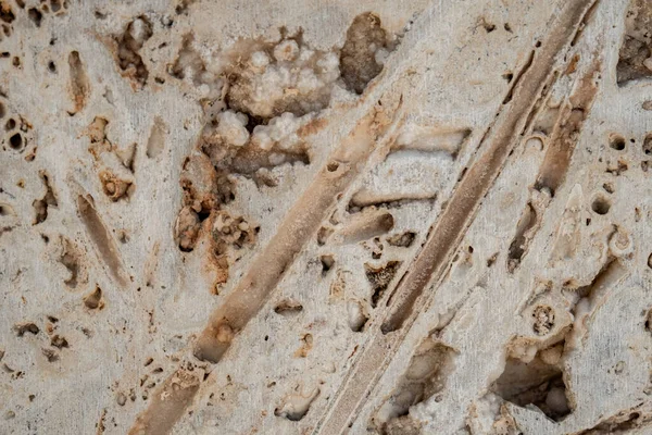Detalhe Parede Cofragem Concreto Revestimento Poroso Textura Abstrata Foco Seletivo — Fotografia de Stock