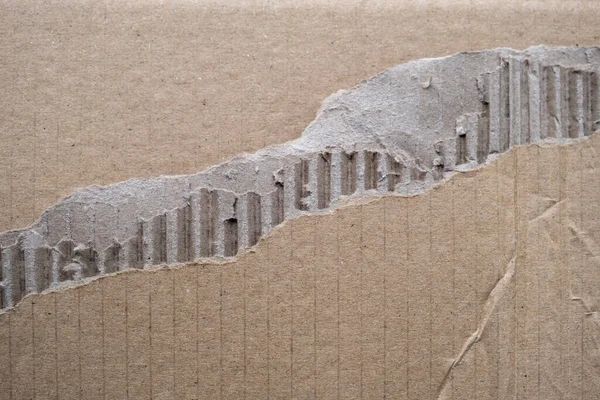 Λεπτομέρεια Σχισμένης Κυματοειδούς Υφής Grunge Από Χαρτόνι — Φωτογραφία Αρχείου