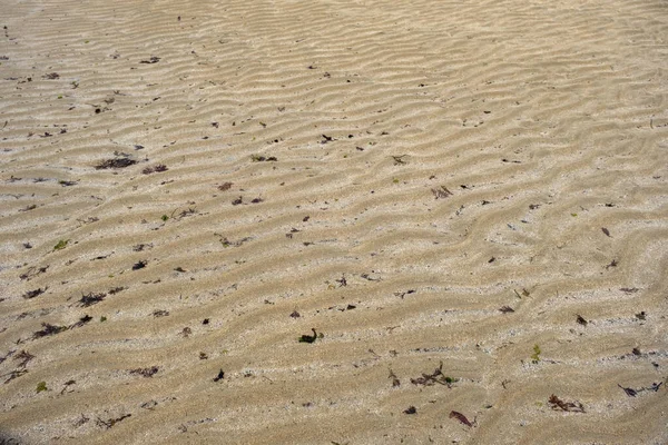 波涛汹涌的沙纹和冲刷在海滩上的小海藻 — 图库照片