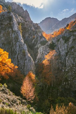 Leon dağlarındaki erozyonun oyduğu dik kireçtaşından duvarlarla dolu dar bir geçit. Hoz de La Escalera, Argovego, İspanya. 